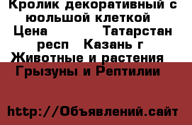 Кролик декоративный с юольшой клеткой › Цена ­ 3 000 - Татарстан респ., Казань г. Животные и растения » Грызуны и Рептилии   